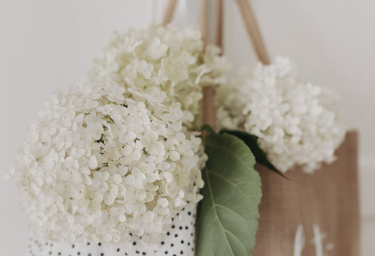 Dein neues Wallpaper | August 2025