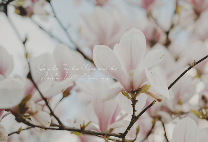 Hallo Mai! Dein neues Wallpaper ist da | Mai 2026