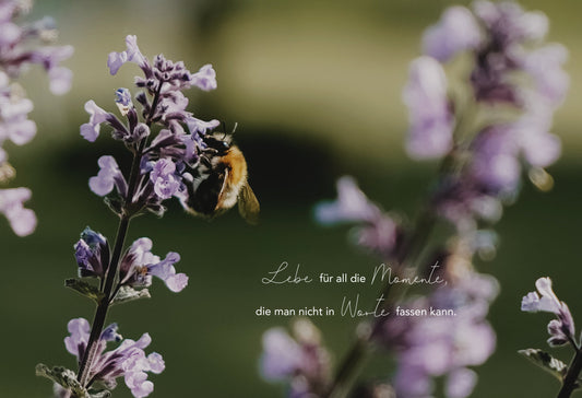 Dein neues Juni-Wallpaper ist da | Juni 2026