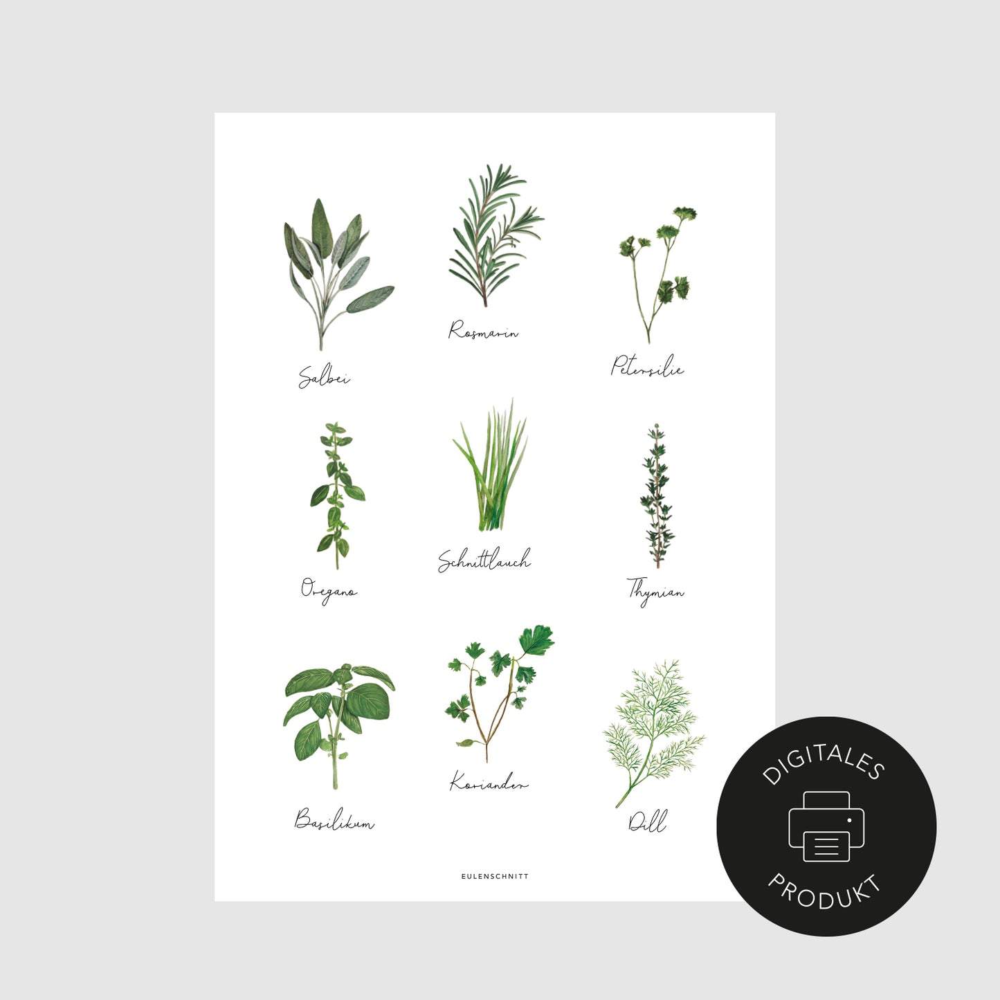 Schlichte Ansicht vom Kräuter Poster- Poster zum Download in verschiedenen Formaten.