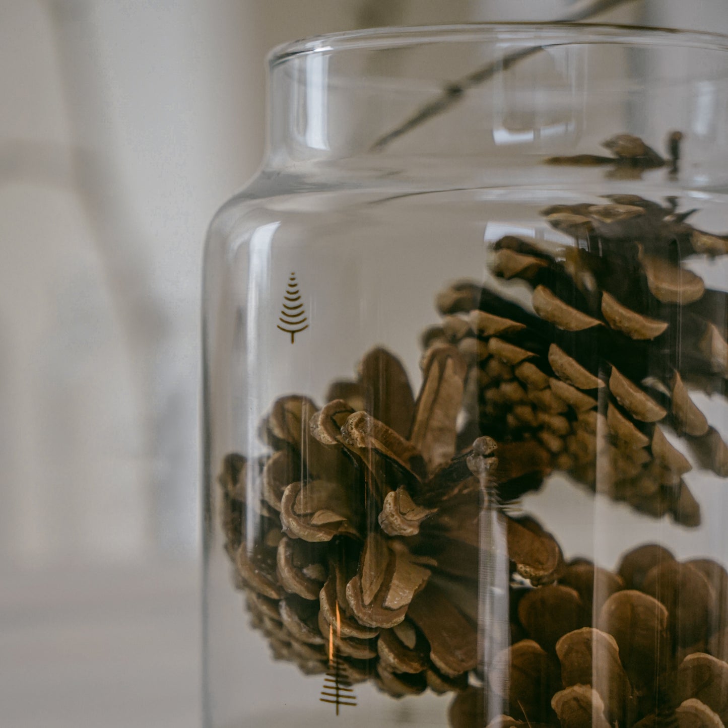 Vase aus Glas groß Tannen