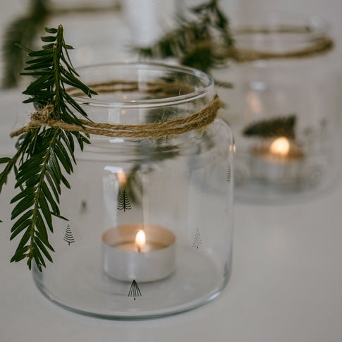 Vase aus Glas mittel Tannen