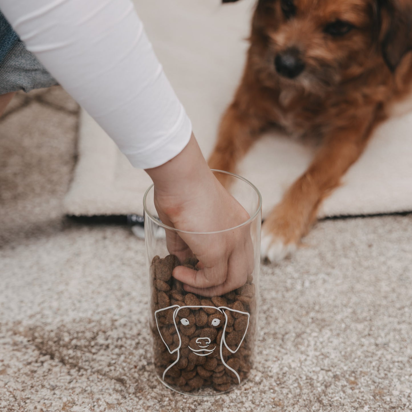 Hand nimmt Hundefutter aus einem Vorratsglas mit Hundemotiv, während ein brauner Hund im Hintergrund wartet.