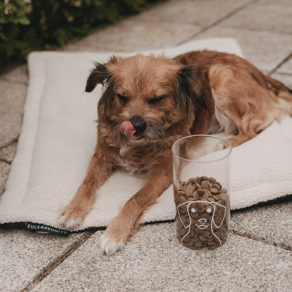 Brauner Hund liegt neben einem mit Trockenfutter gefüllten Vorratsglas mit weißem Hundemotiv.