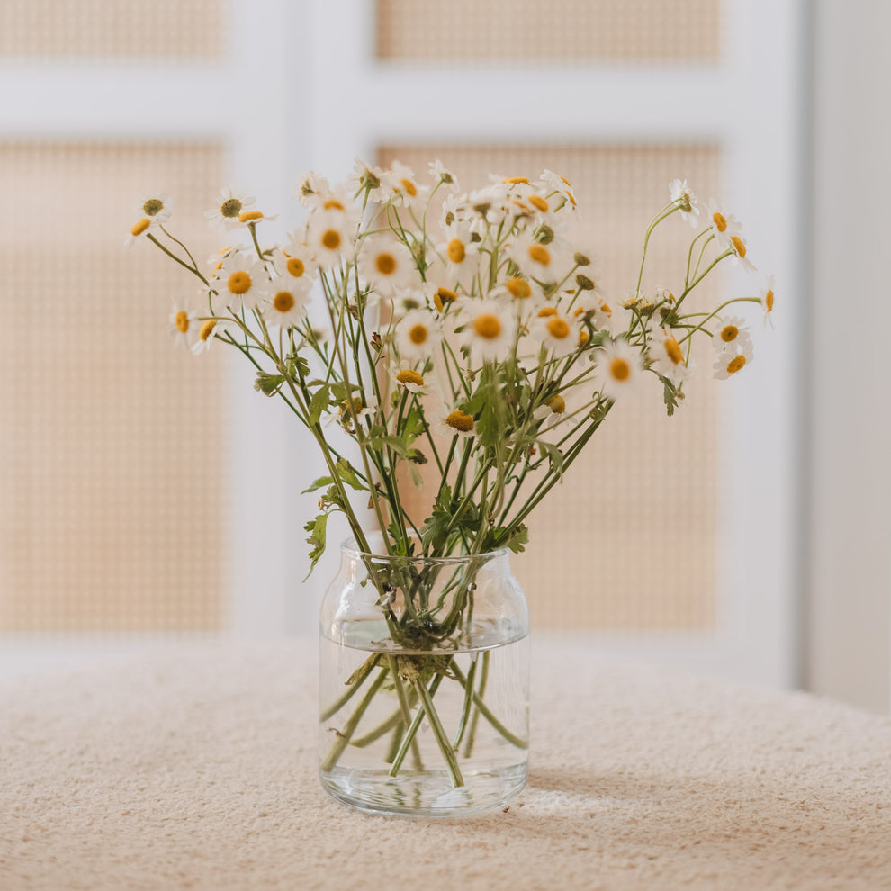 Glasvase mit weißen Herzen und frischen Kamillenblüten auf hellem Tisch