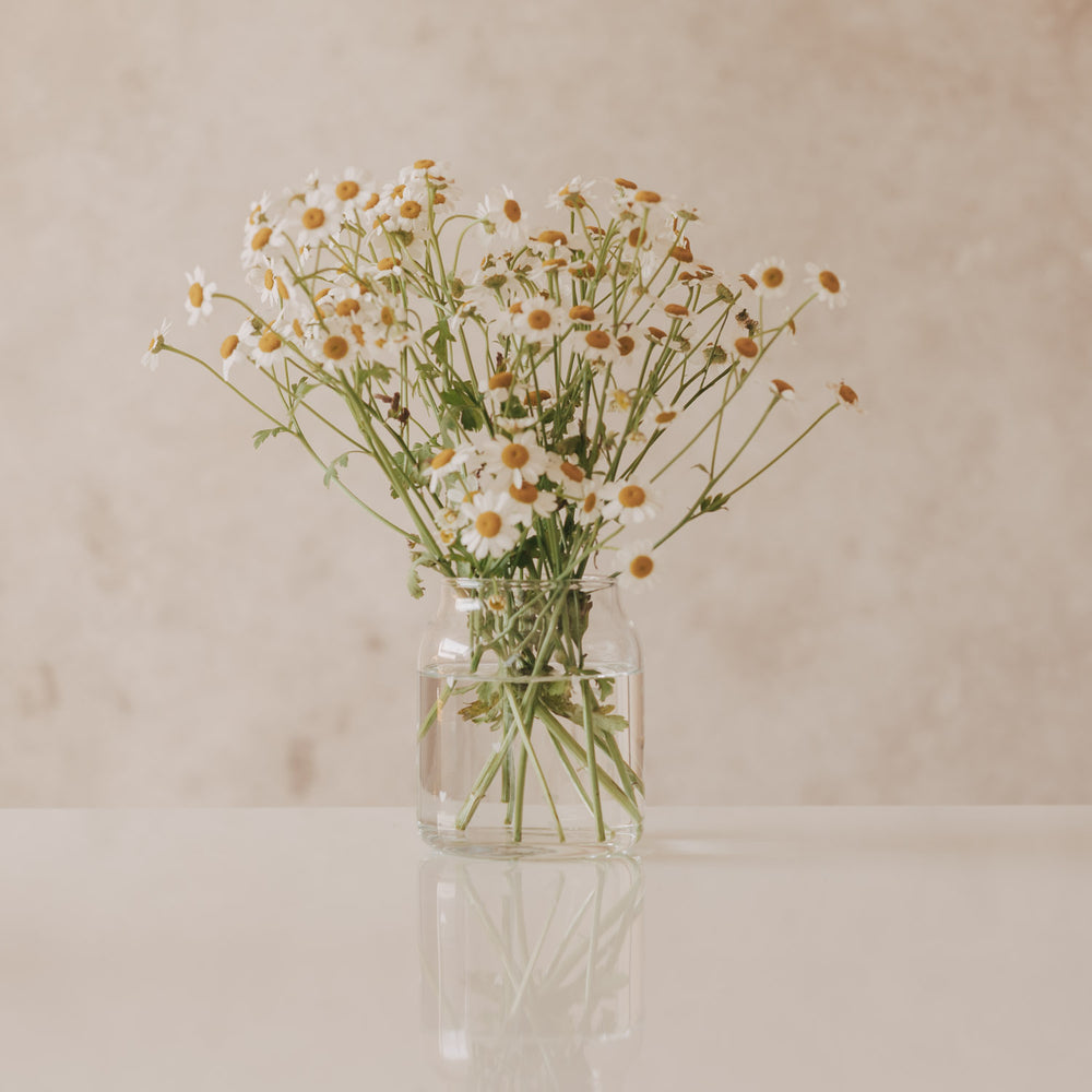 Glasvase mit weißen Herzen gefüllt mit Kamillenblumen, dekorativ inszeniert