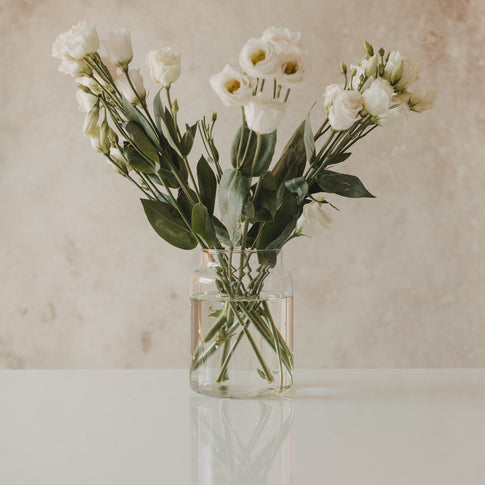 Glasvase mit weißen Blumen, dekorativ und natürlich arrangiert