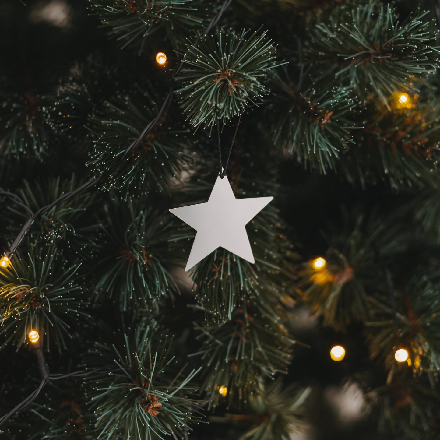 Silberner Sternanhänger mit schwarzem Band an grünem Tannenzweig, umgeben von warmem Lichterglanz.