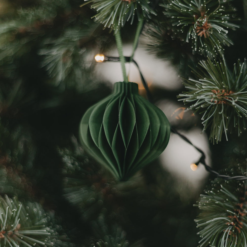 Dunkelgrüner Papieranhänger hängt stimmungsvoll am Tannenbaum mit Lichterkette im Hintergrund.