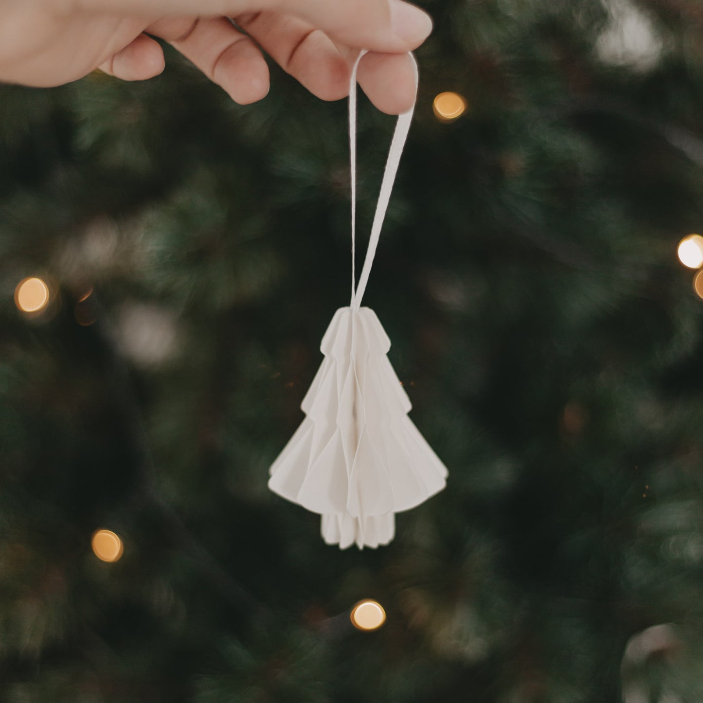 Papieranhänger Tanne natur wird an weißem Band in der Hand gehalten