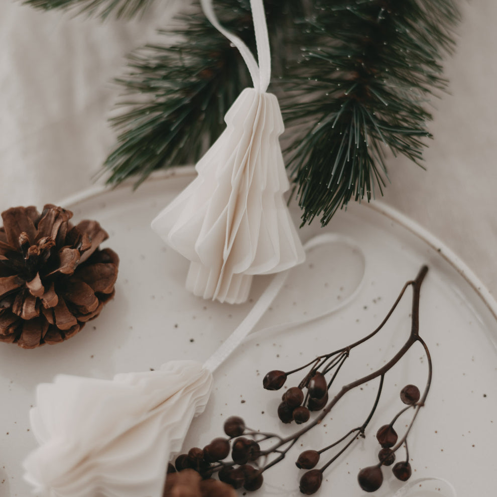 Papieranhänger Tanne natur auf Dekoteller mit Tannenzweig und Zapfen