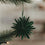 Grüne Papierschneeflocke aus Papier als Weihnachtsbaumschmuck am Tannenzweig