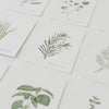 Ensemble de 9 cartes d'herbes