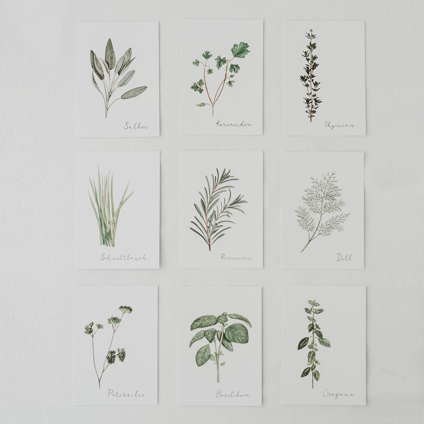 Ensemble de 9 cartes d'herbes