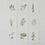 Ensemble de 9 cartes d'herbes