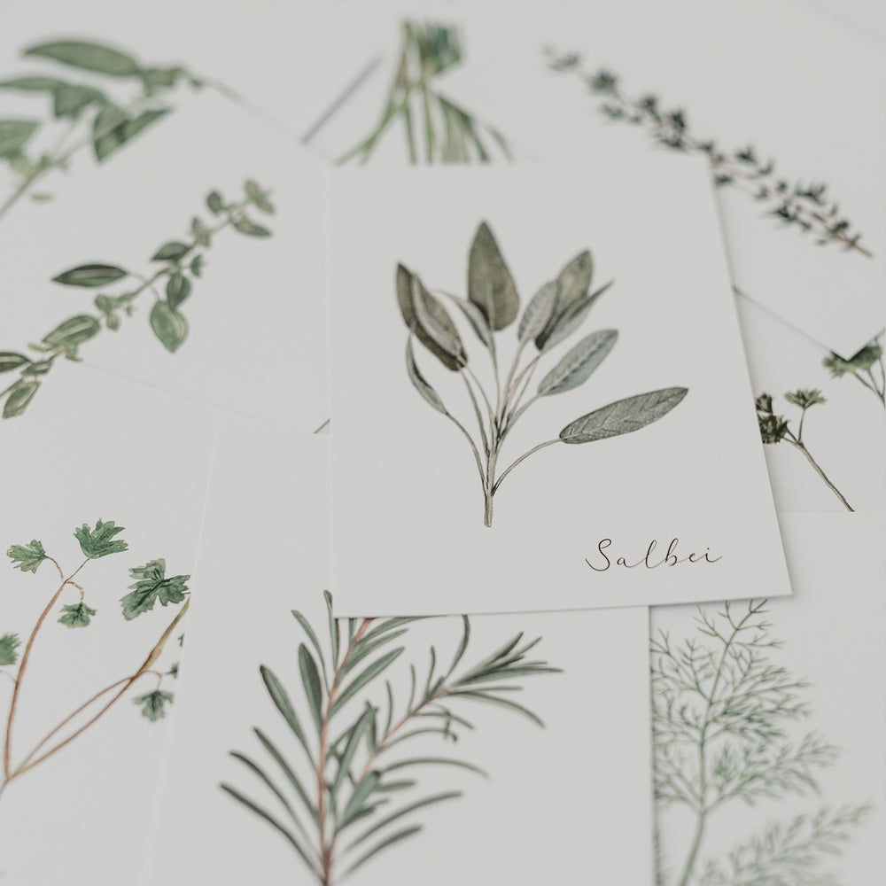 Ensemble de 9 cartes d'herbes