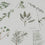Ensemble de 9 cartes d'herbes