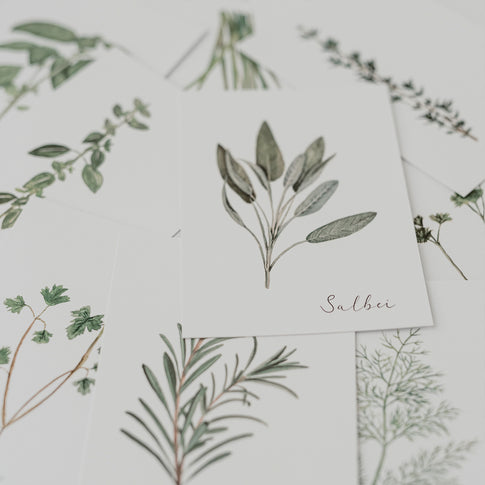 Ensemble de 9 cartes d'herbes