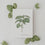 Ensemble de 9 cartes d'herbes