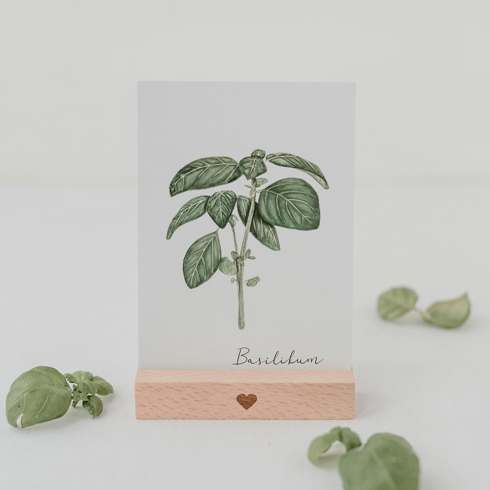 Ensemble de 9 cartes d'herbes