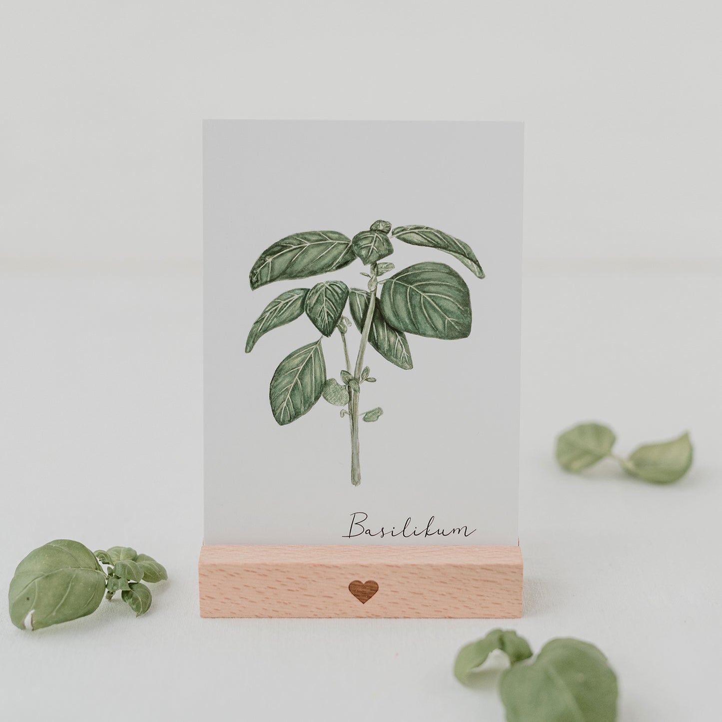 Ensemble de 9 cartes d'herbes