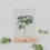 Ensemble de 9 cartes d'herbes