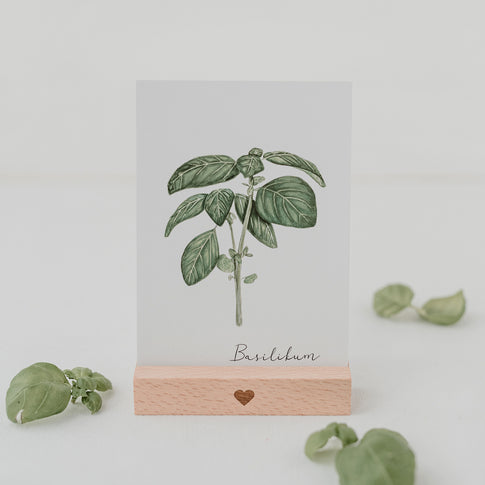 Ensemble de 9 cartes d'herbes