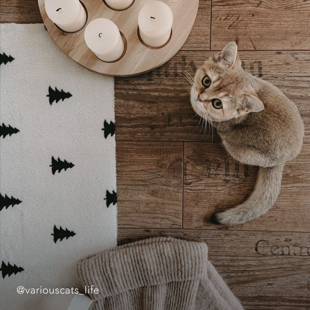 Paillasson lavable Sapins