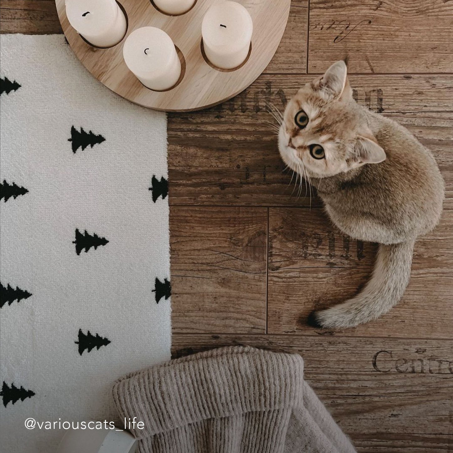 Paillasson lavable Sapins