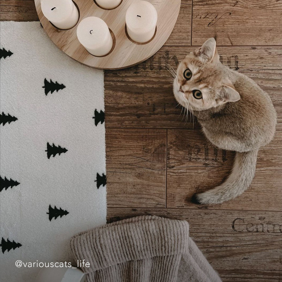 Paillasson lavable Sapins