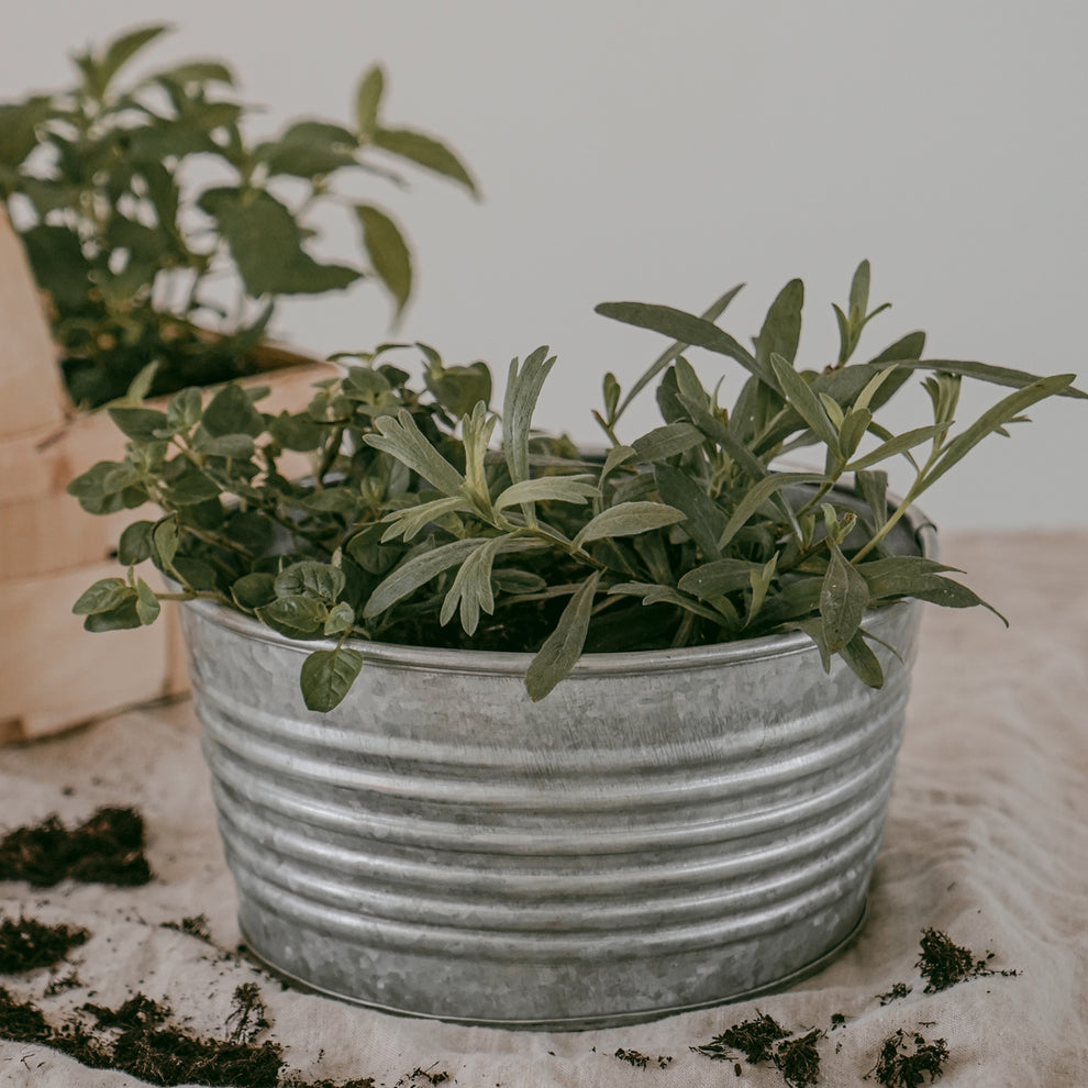 Metallbox rund 20cm | Eulenschnitt 