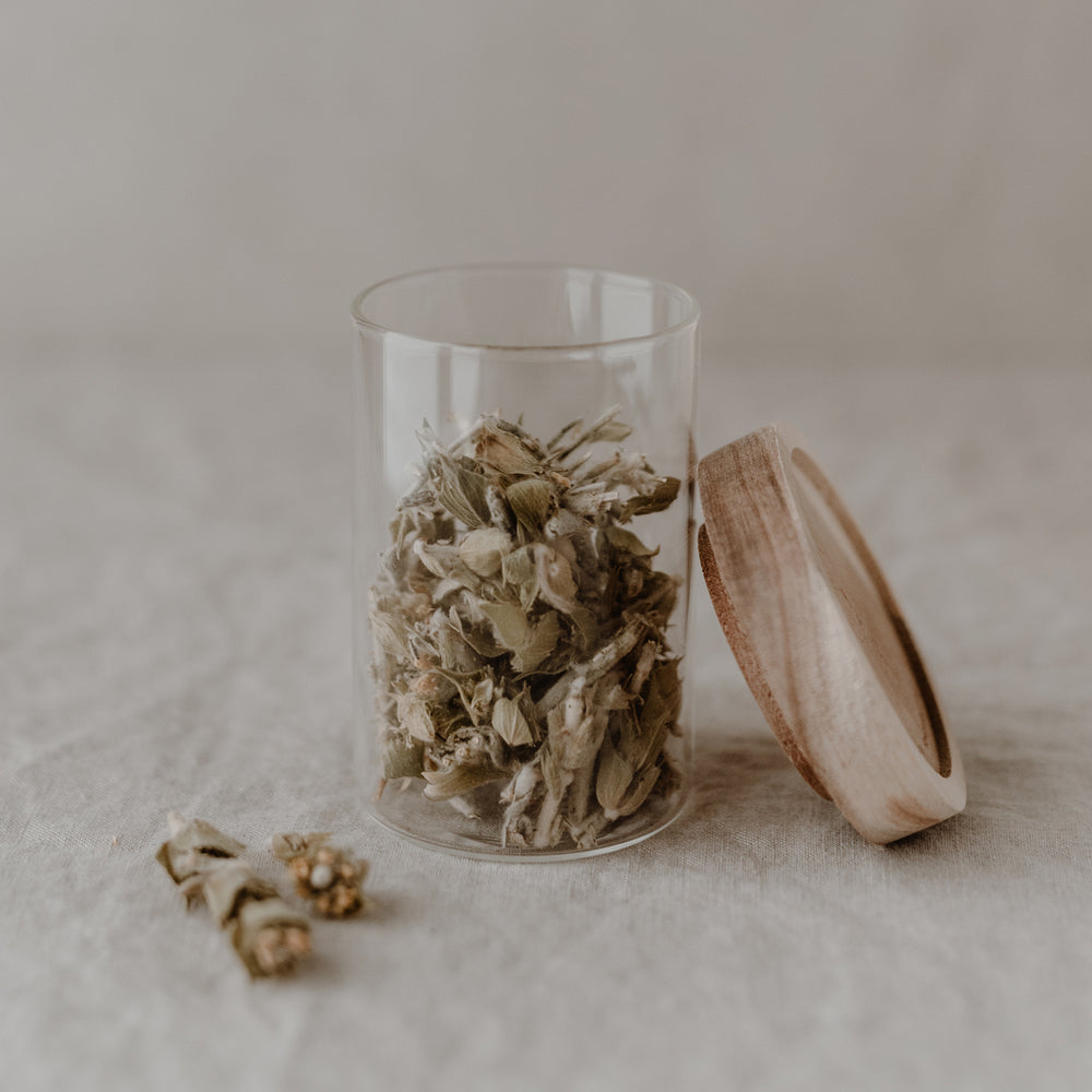 Mini Vorratsgläser im 6er Set | Eulenschnitt 