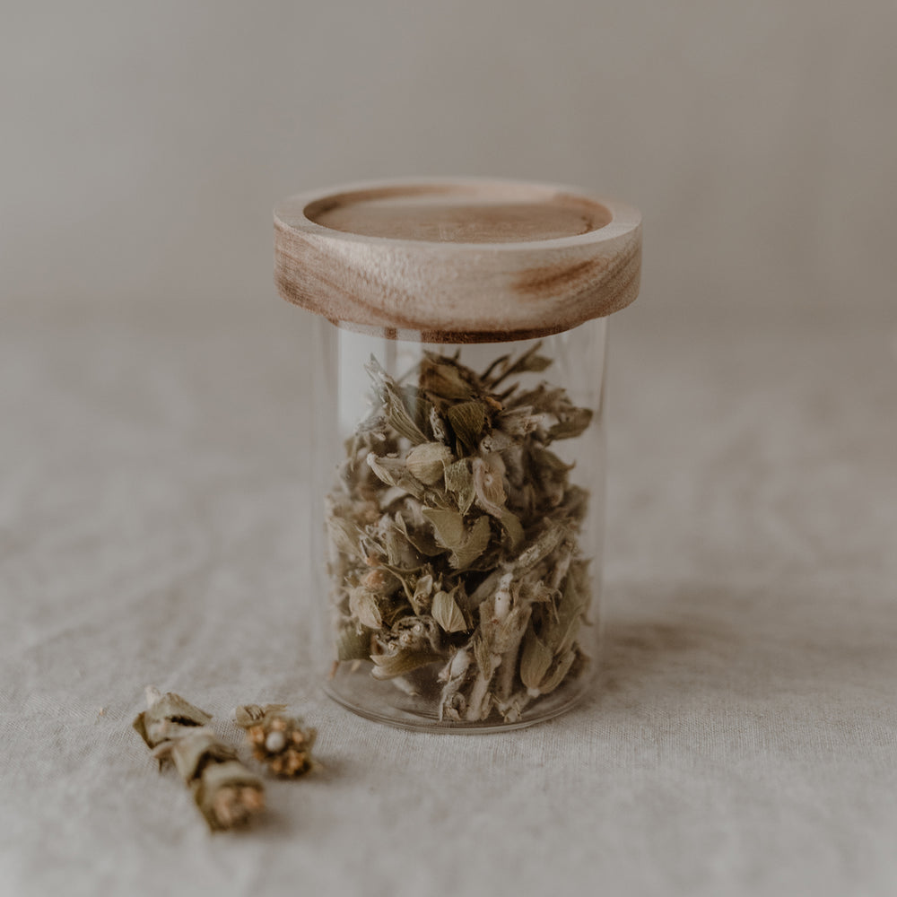 Mini Vorratsgläser im 6er Set | Eulenschnitt 