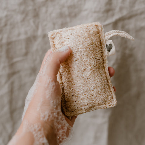 Spülbürsten im 5er Set