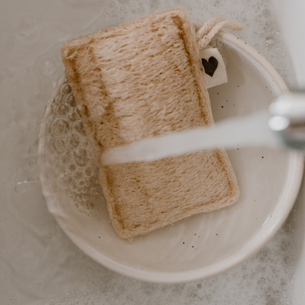 Spülbürsten im 5er Set