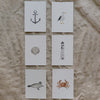 Lot de 6 cartes "Plage"