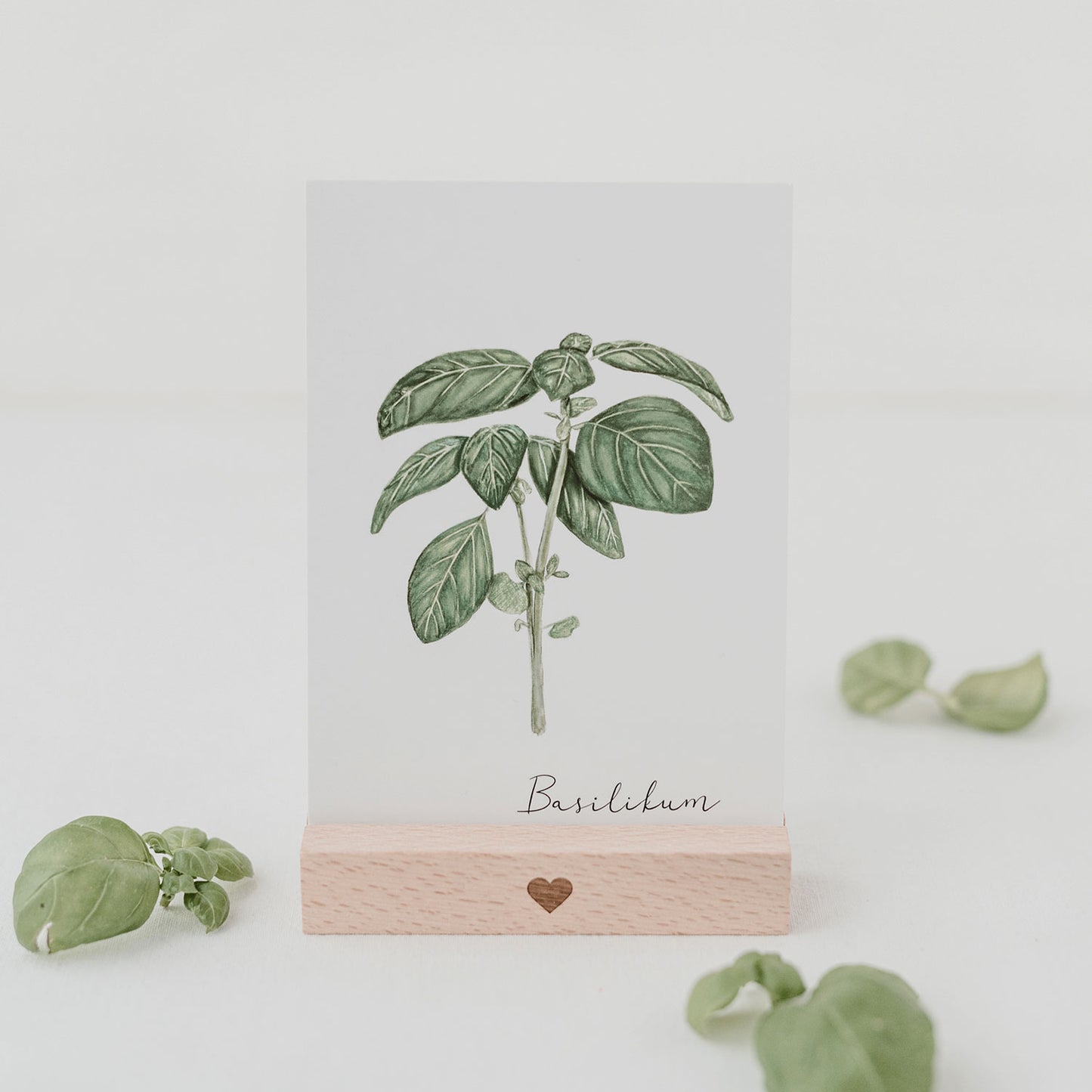 Présentoirs pour cartes postales 10,5 cm en lot de 2